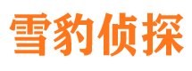 衡南侦探公司